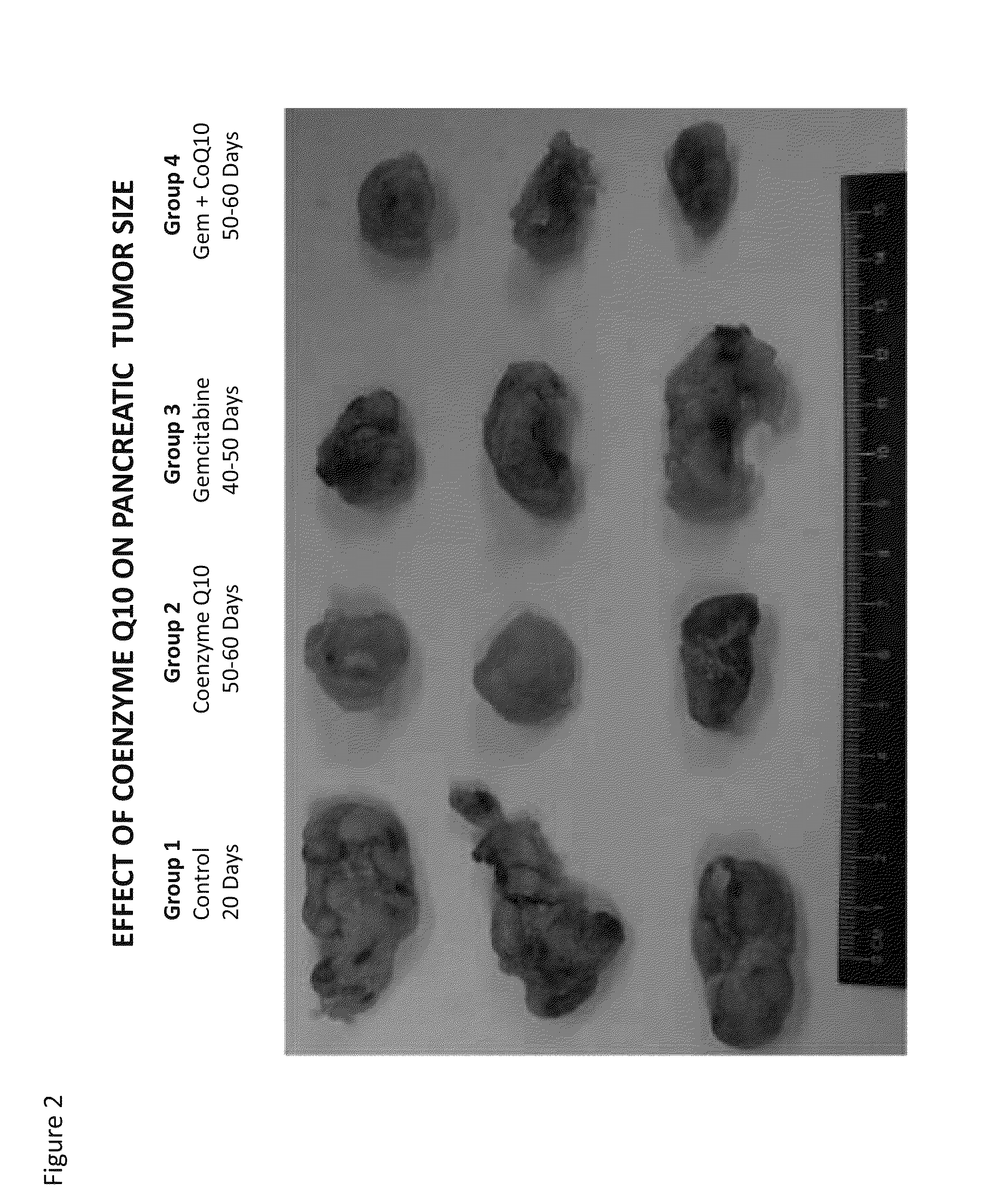 Methods for the treatment of cancer using coenzyme q10 combination therapies