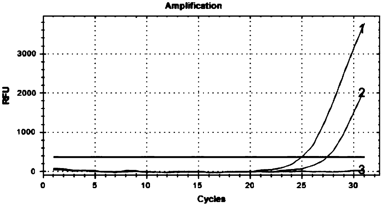 A diagnostic kit and method for detecting mutation of exon 11 of human c-kit gene