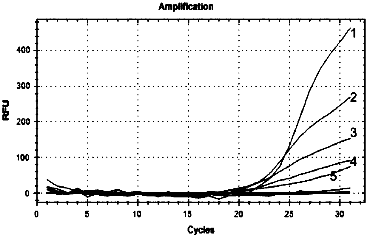 A diagnostic kit and method for detecting mutation of exon 11 of human c-kit gene