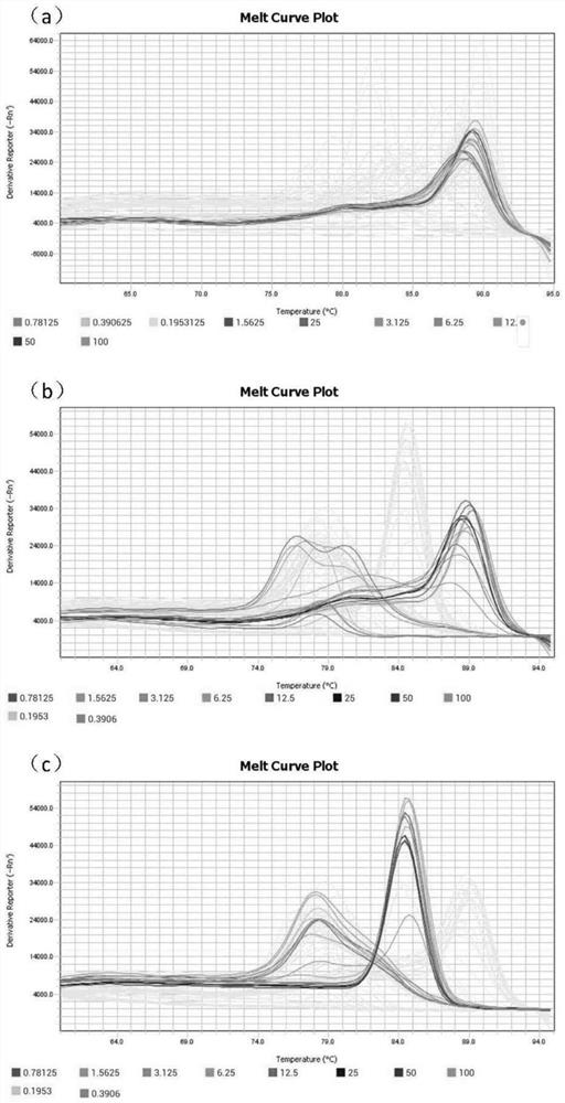 Method for measuring tissue distribution of MSC