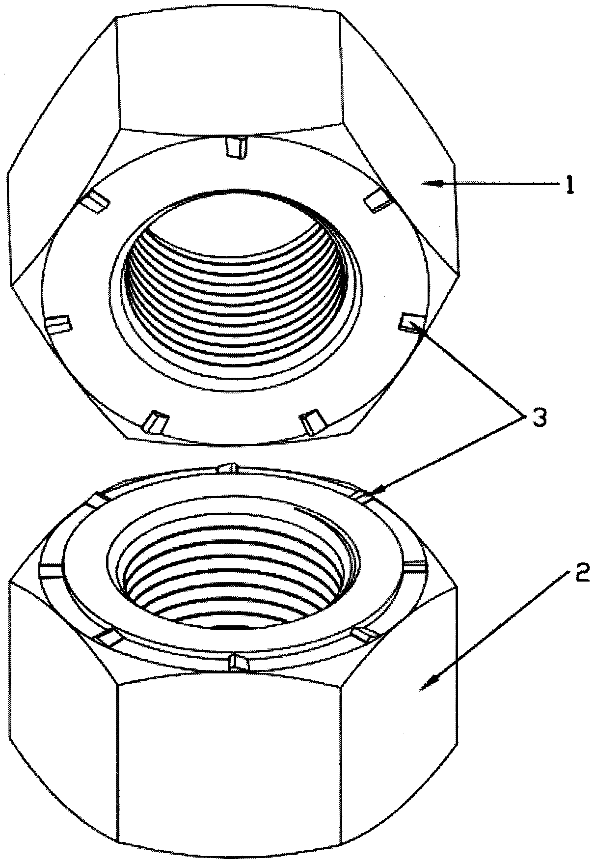 Differential ratchet type anti-loosening double nut