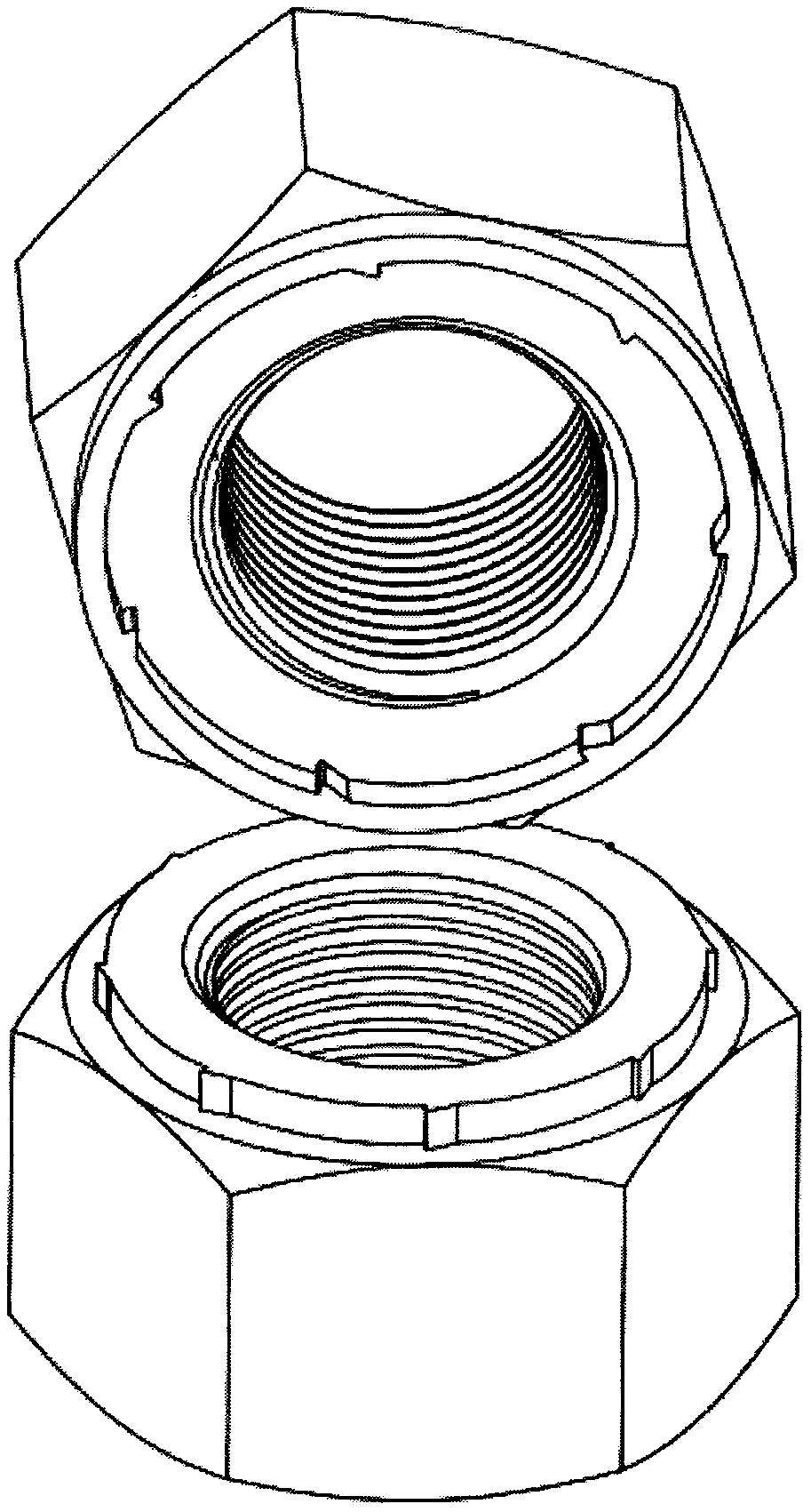 Differential ratchet type anti-loosening double nut