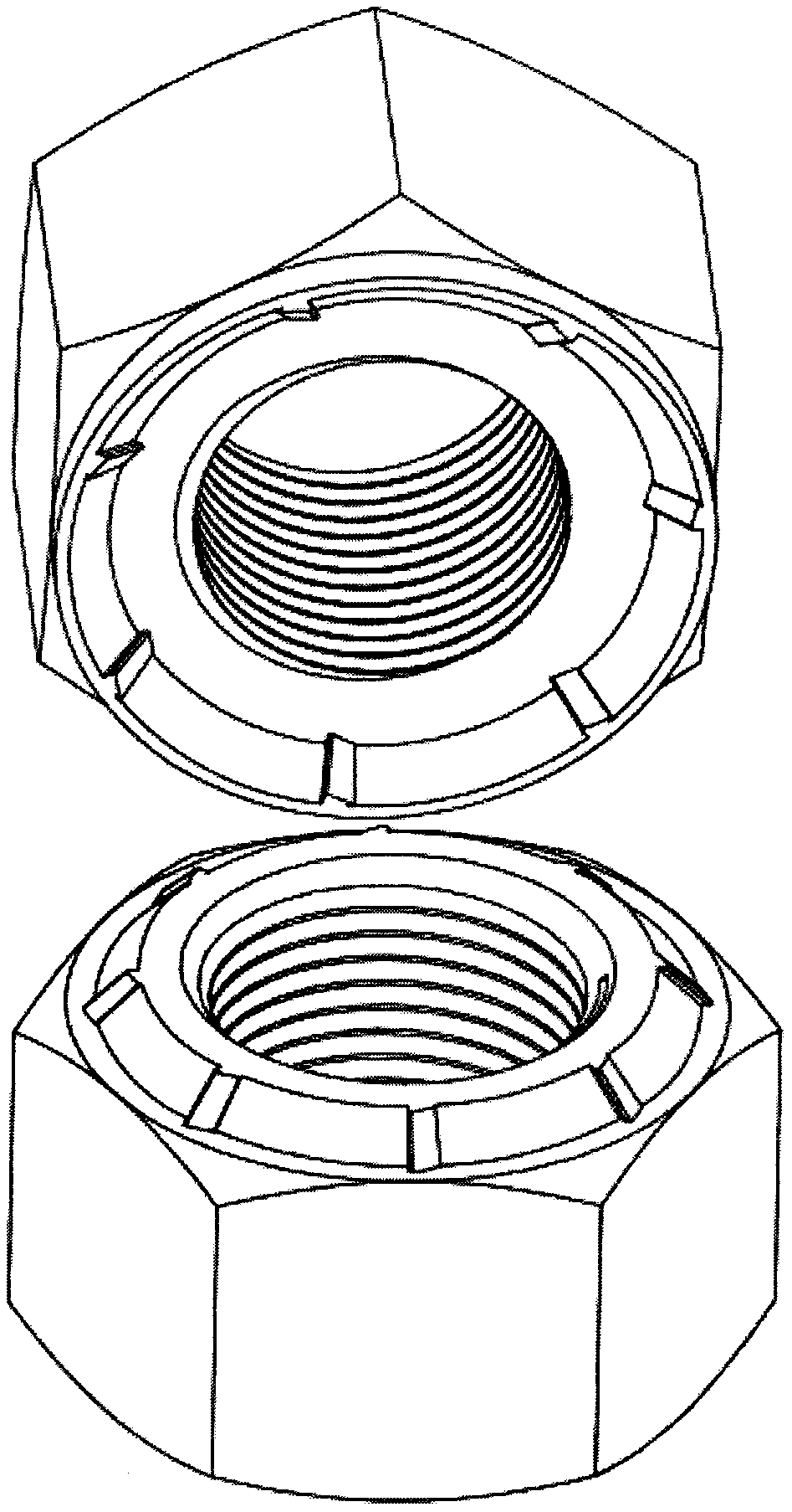 Differential ratchet type anti-loosening double nut