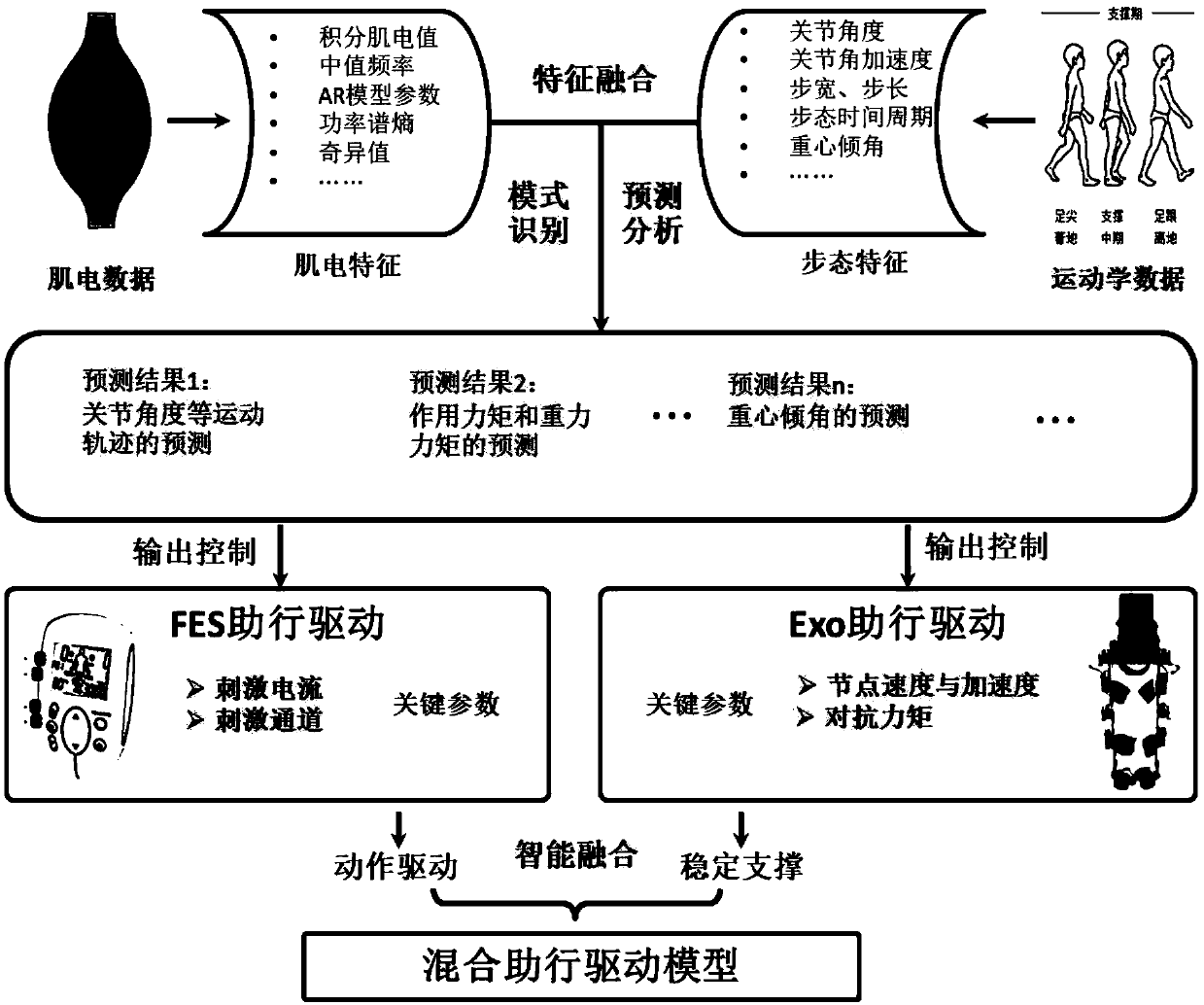 Walker aid robot system based on brain-machine-muscle information loop