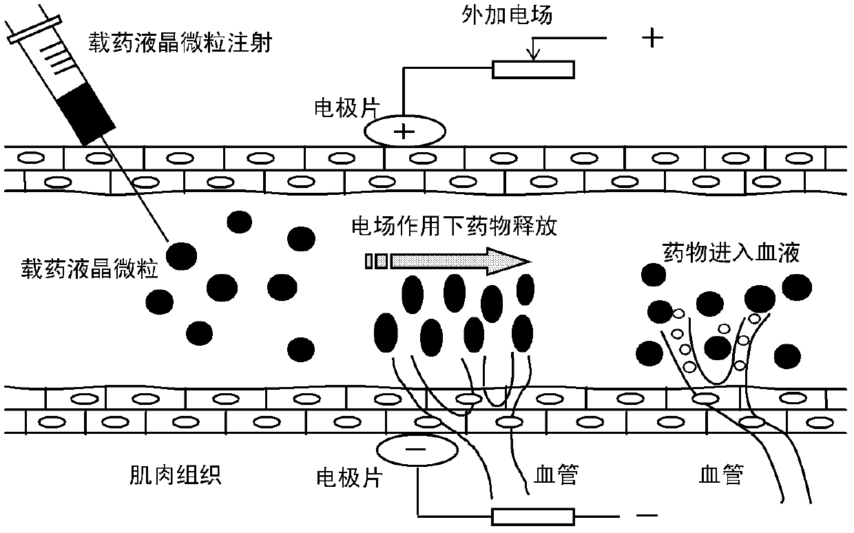 Slow-release method for controlling medicine-carrying molecules of lyotopic liquid crystal by using micro electric field