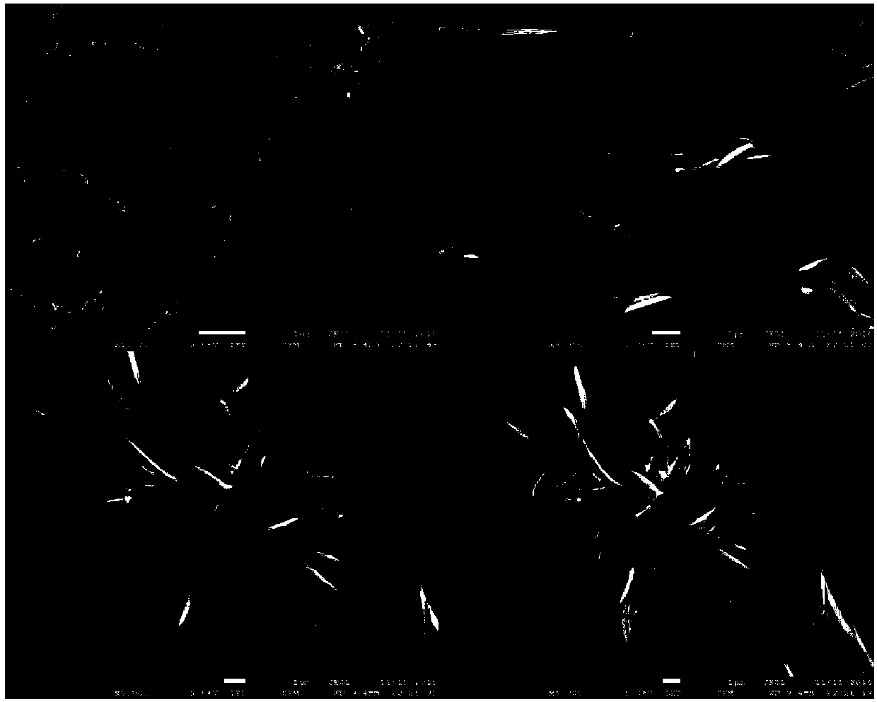 Self-assembled polypeptide nanorod and preparation method thereof