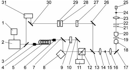 Polarization interference multi-element CARS (Coherent Anti-stokes Raman Scattering) microscopic imaging method