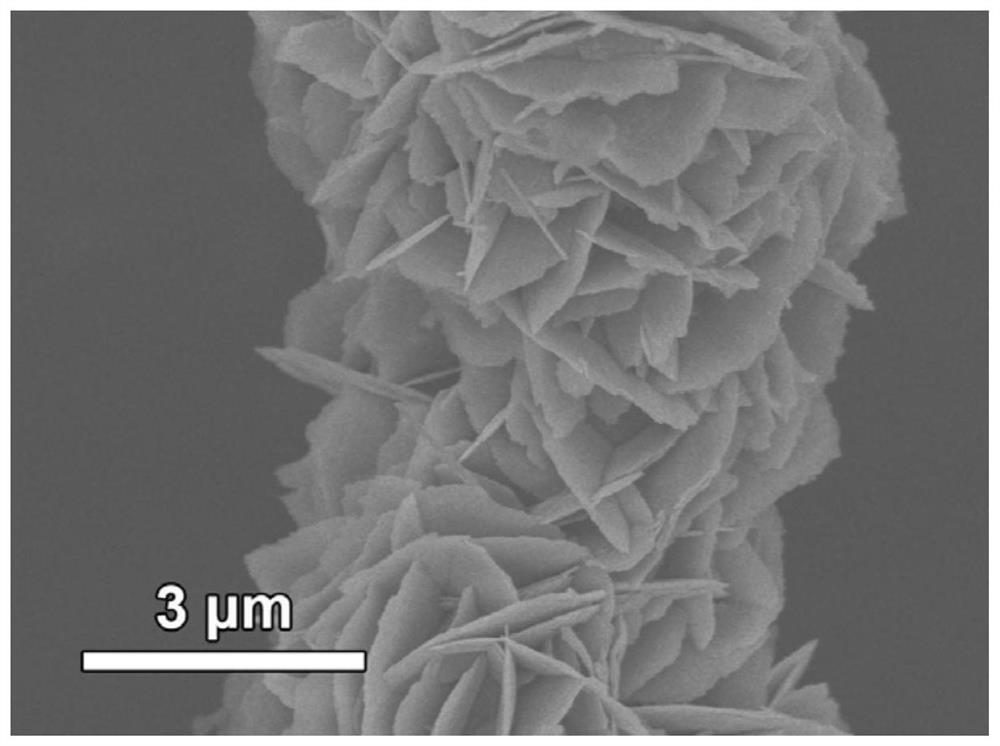 Cobaltous oxide nanosheet-sponge nickel/metal lithium composite material as well as preparation method and application thereof