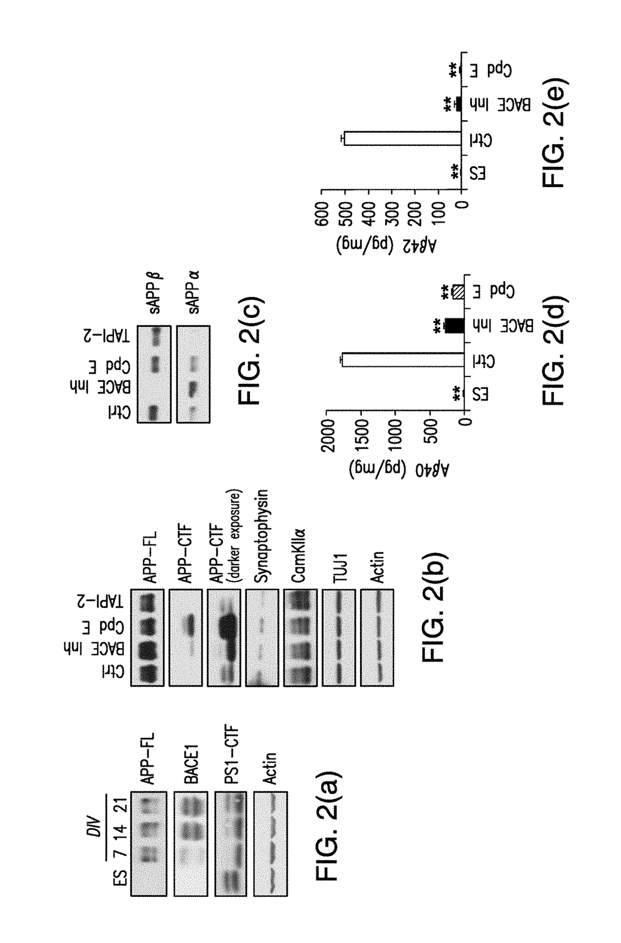 Methods of reducing levels of tau