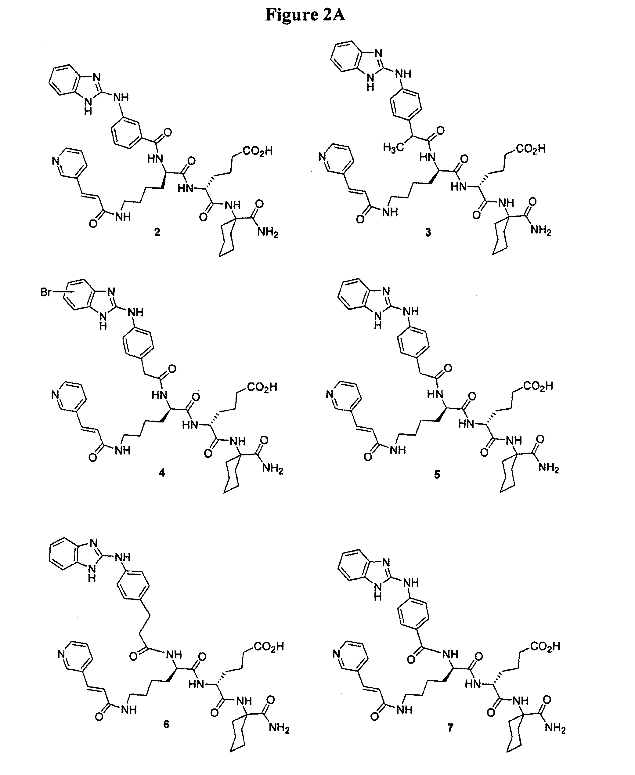 Heterocyclic Ligands for Integrin Imaging and Therapy