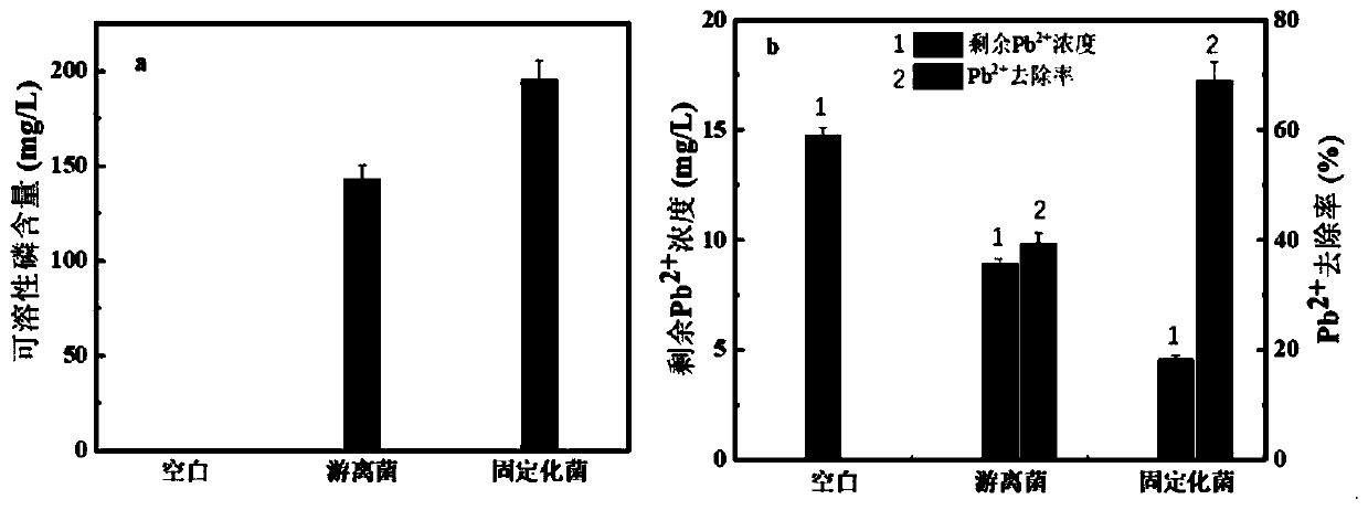 Biochar loaded nano zero valent iron coupling phosphate solubilizing bacteria immobilized pellet, preparation method and application thereof