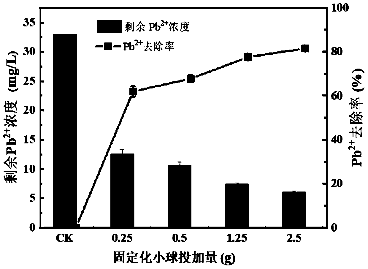 Biochar loaded nano zero valent iron coupling phosphate solubilizing bacteria immobilized pellet, preparation method and application thereof