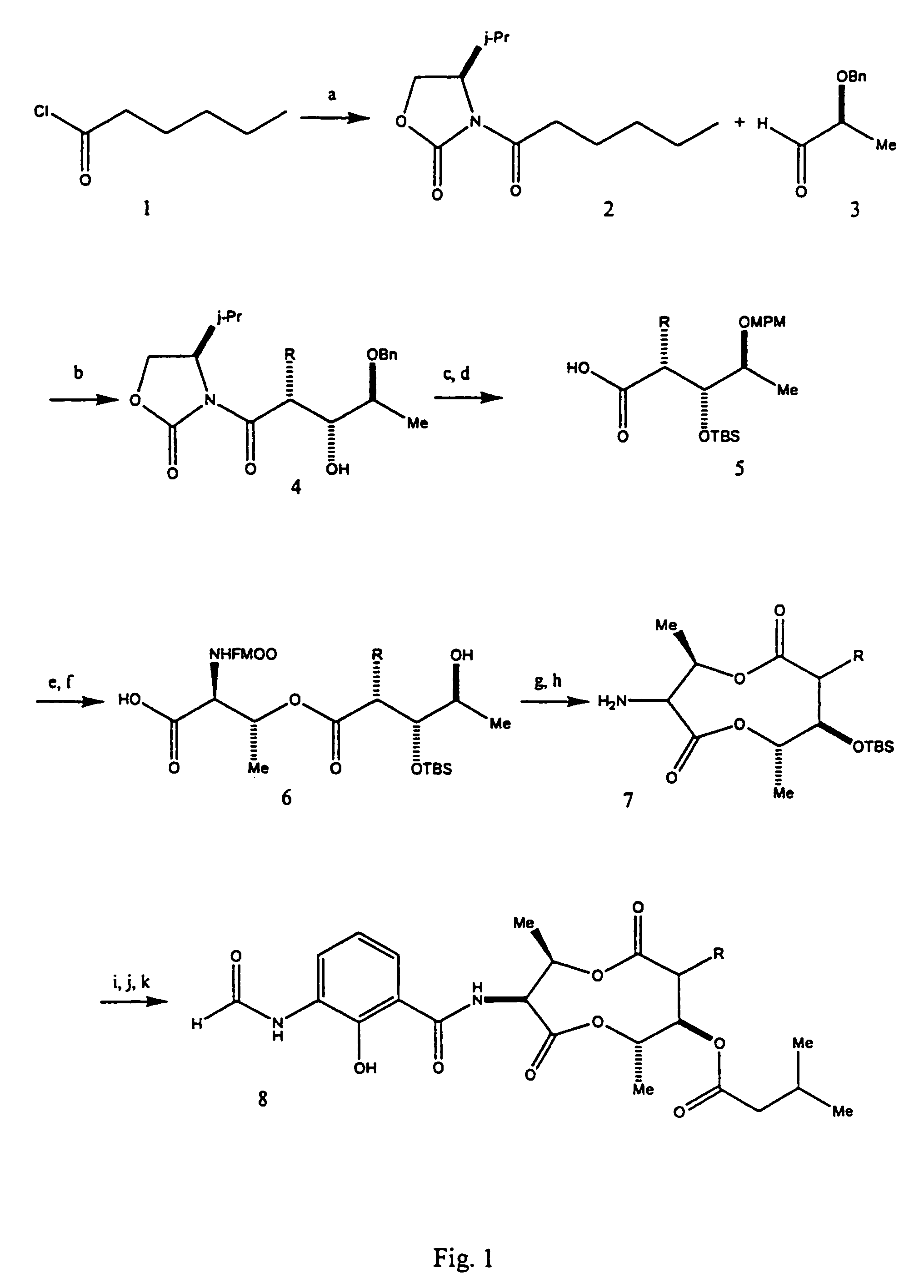 Compositions and methods for modulating apoptosis in cells over-expressing Bcl-2 family member proteins