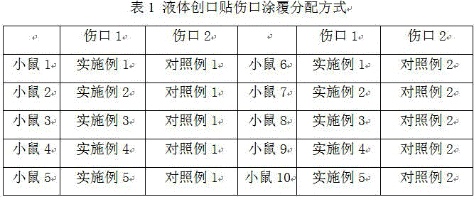 Preparation method for liquid adhesive bandage