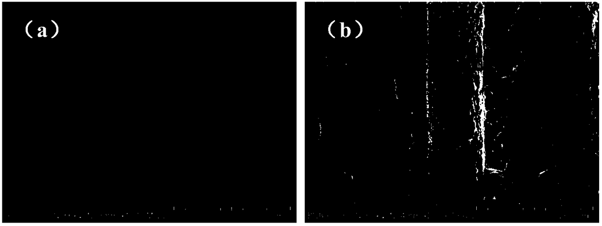 Tin oxide modified carbon cloth base lithium and sodium metal negative electrode and preparation method thereof