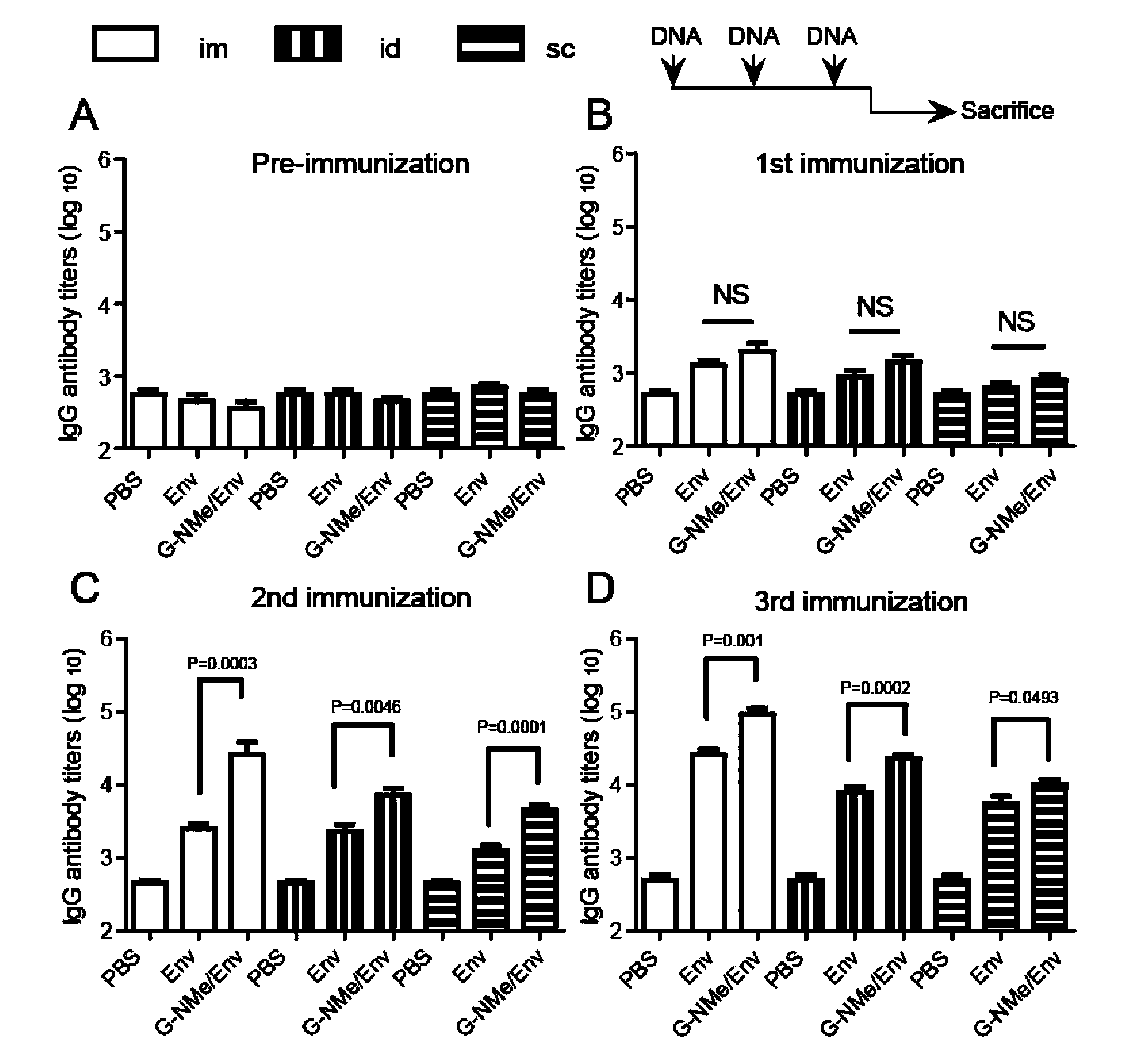 Gene vaccine vector, and preparation method and application thereof