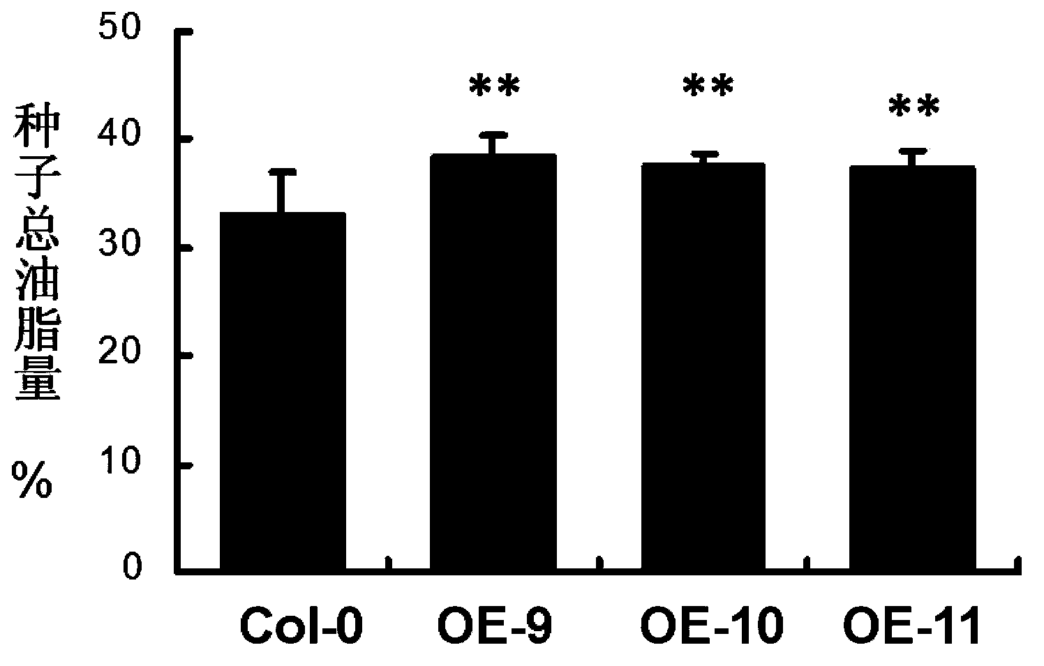 Application of soybean transcription factor GmMYB172 in vegetable oil and fat metabolism regulation