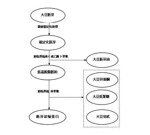 Method for producing germ oil, oligosaccharides and protein concentrate by using soybean germs