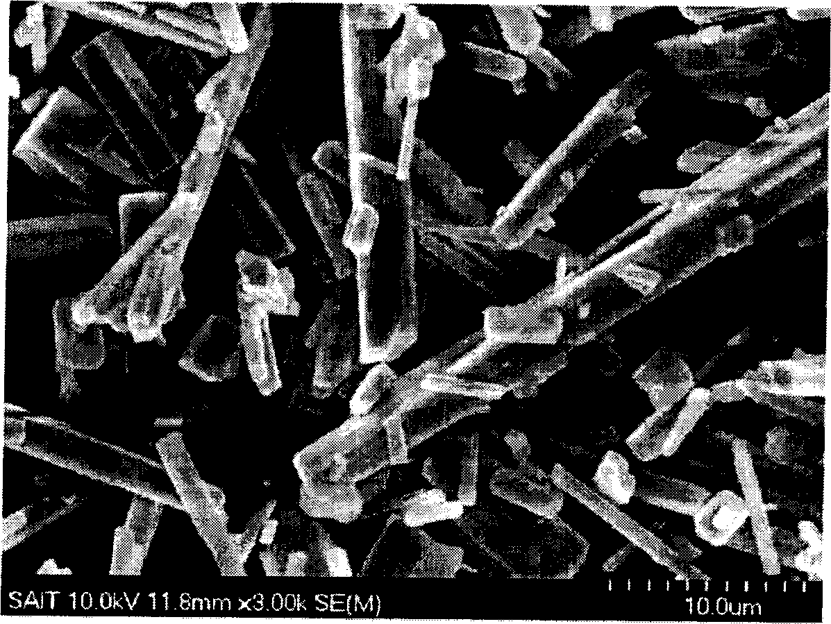 Carbon-metal composite material and process of preparing the same