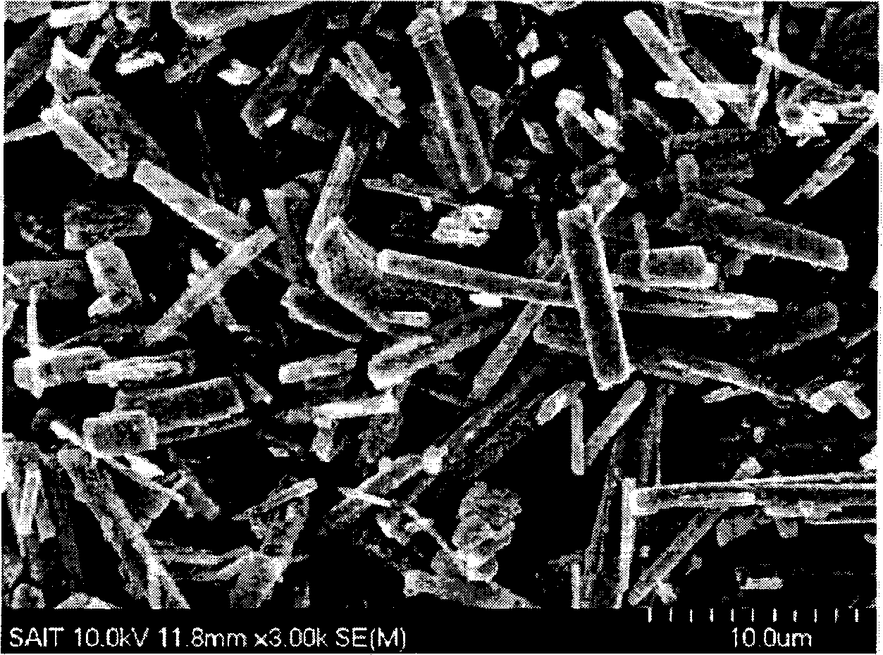 Carbon-metal composite material and process of preparing the same