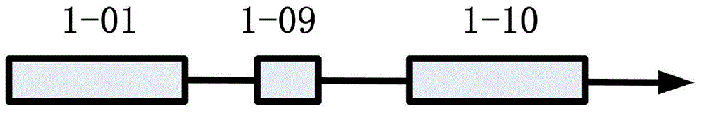 Multi-wavelength spectrum synthesis apparatus for high-power all-solid-state laser