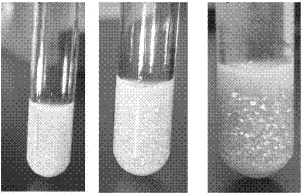 Preparation method of multiple response core-shell structure magnetic nanometer aquagel photonic crystals