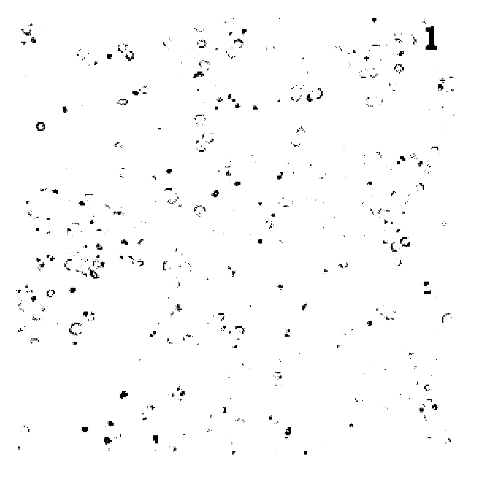 Construction method of in-vitro model for simulating mesenchymal stem cell transplantation