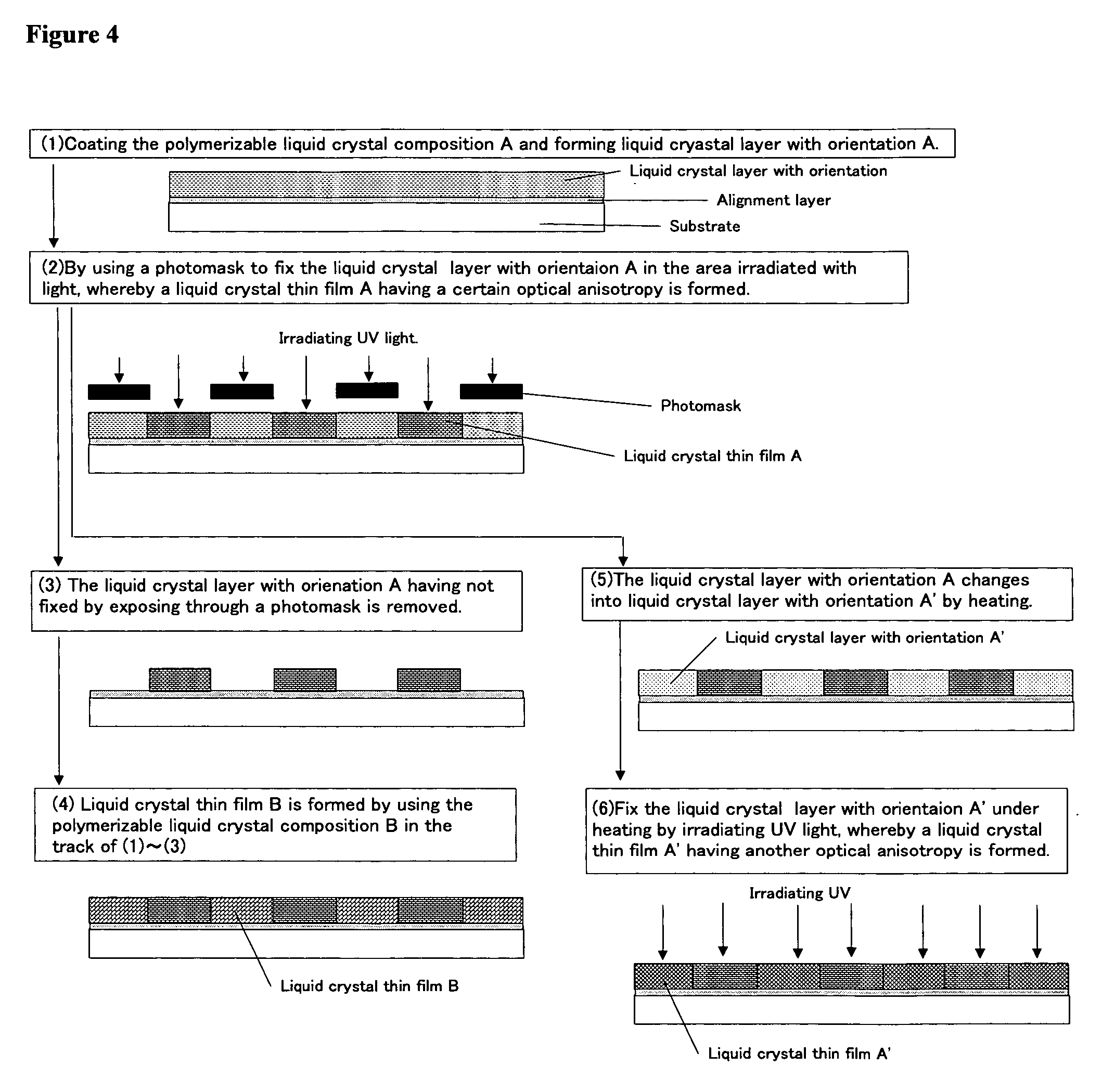 Polymerizable liquid crystal composition and optically anisotropic thin film