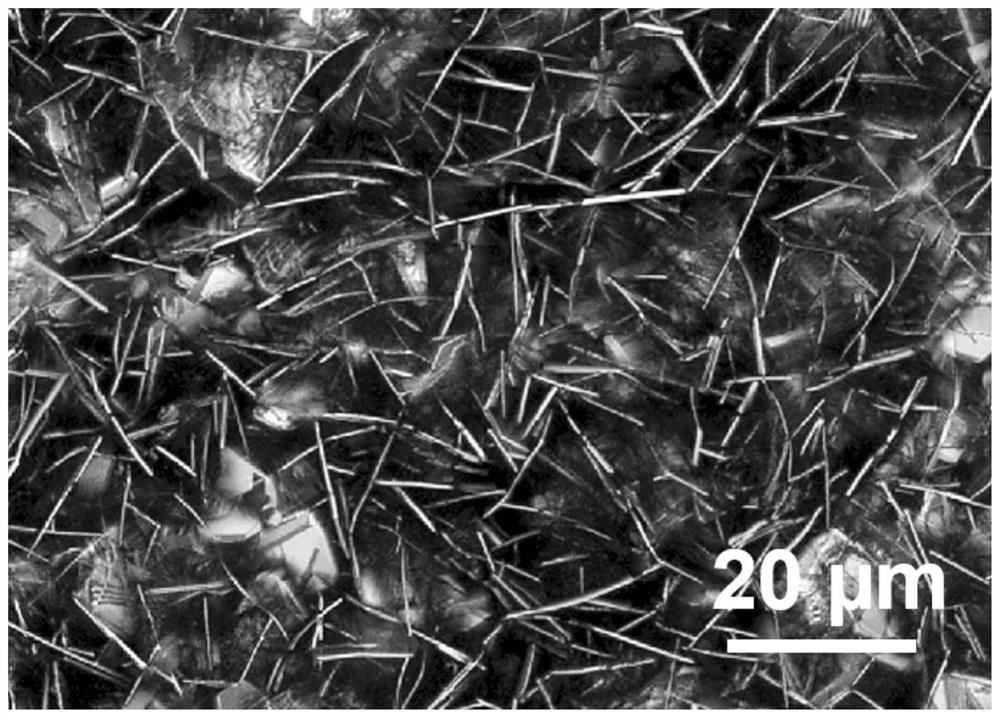 Construction method of intelligent reversible self-assembly structure based on core-shell type phase-change cellulose nano crystals under solid-phase condition