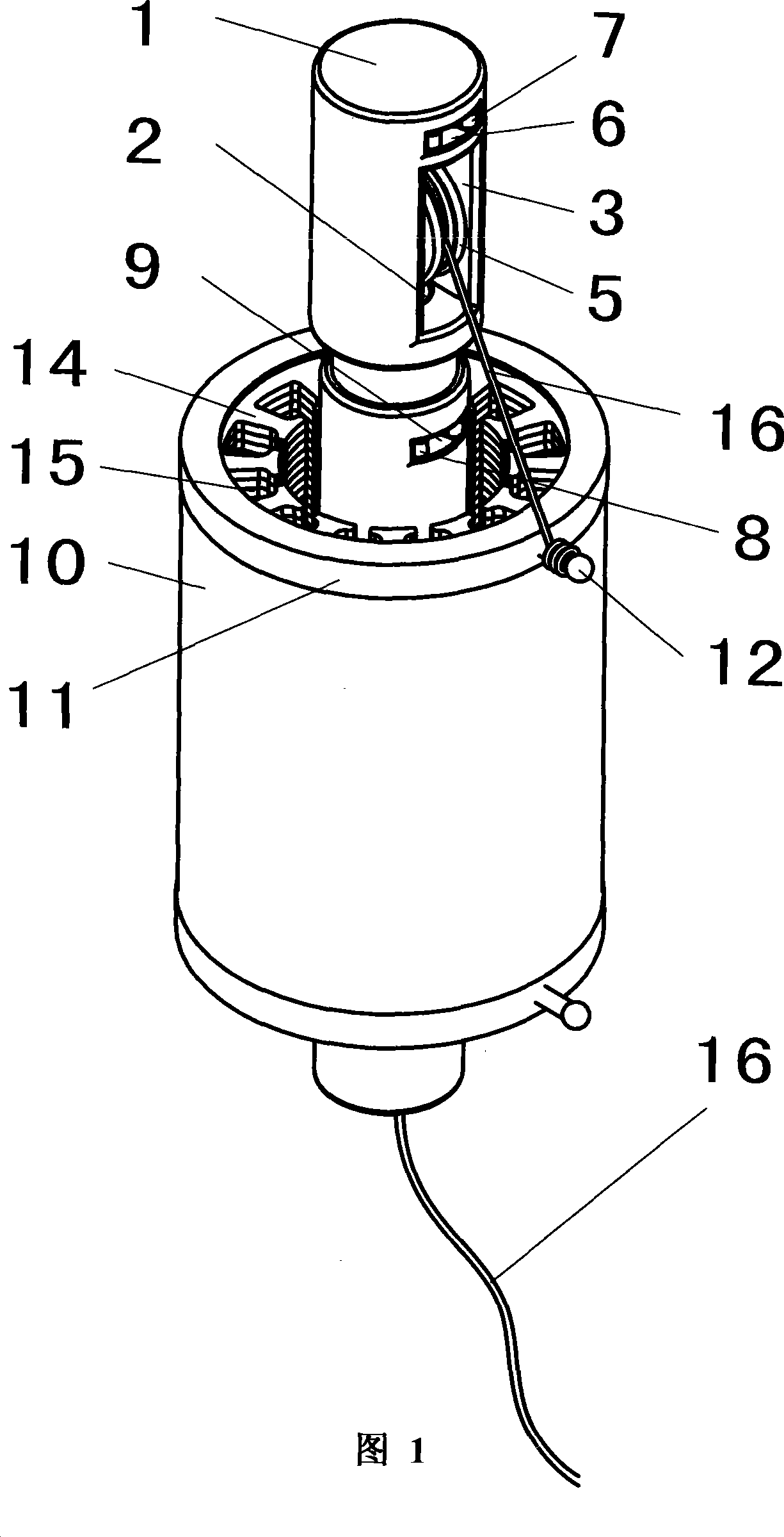 Coil inserting method and apparatus for electricity generator