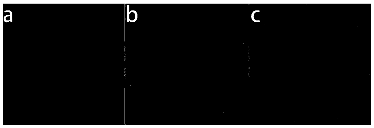 An application of ct to measure co in porous media  <sub>2</sub> - Method of change in brine interface area