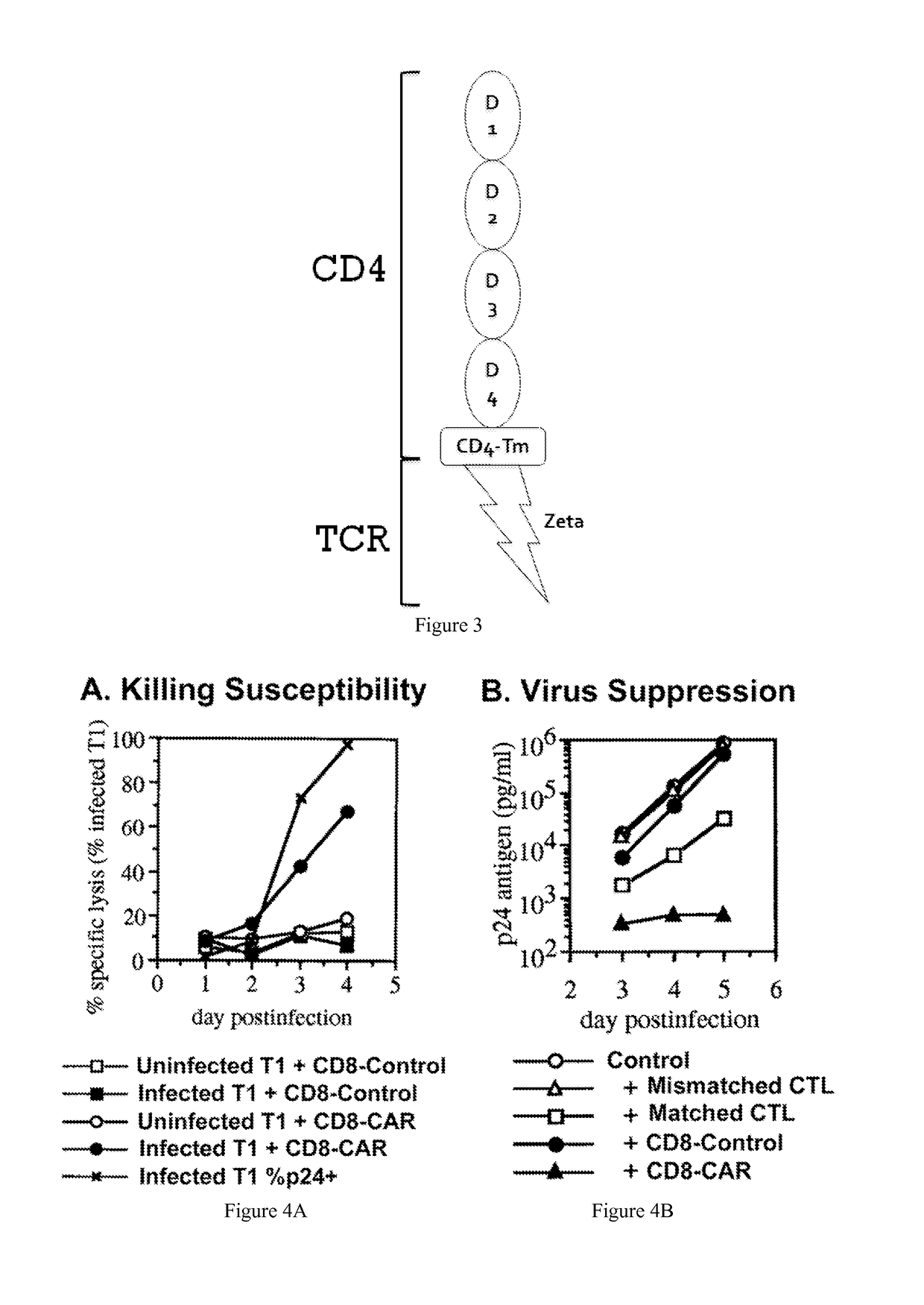 Engineering antiviral T cell immunity through stem cells and chimeric antigen receptors