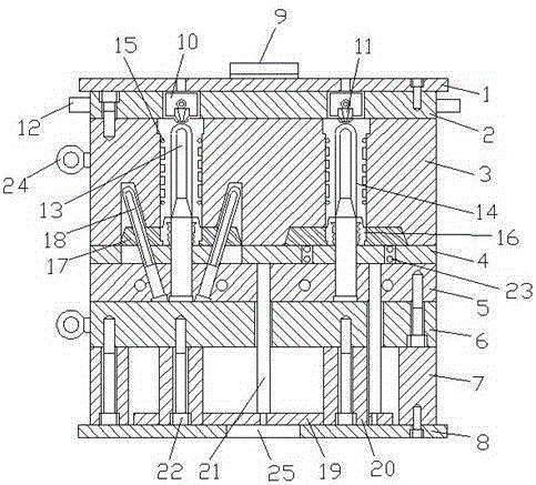 Injection mold for mineral water bottle blank