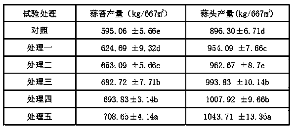 Special functional urea formaldehyde fertilizer for garlic and preparation method thereof