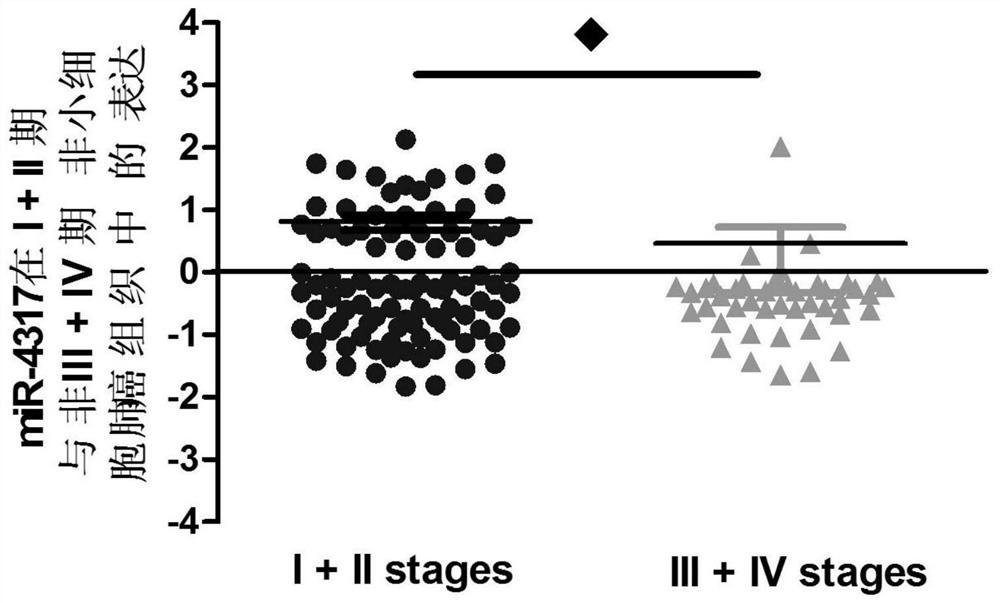 Lung cancer diagnostic marker microRNA-4317 and its application in drugs and diagnostic kits