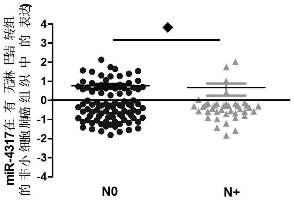 Lung cancer diagnostic marker microRNA-4317 and its application in drugs and diagnostic kits