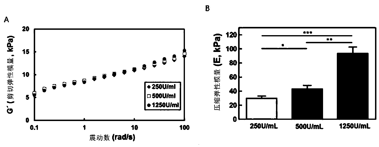 Composition for regeneration of human fibrous cartilage or elastic cartilage