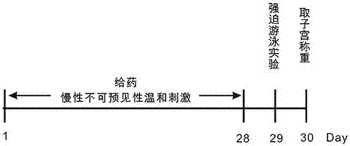 Preparation method of caulis spatholobi extract and application