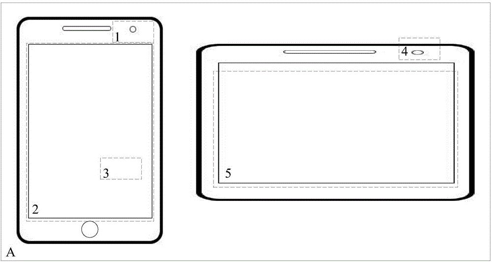 Information search method and server