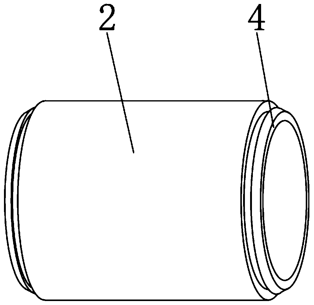 Iron-based alloy renal artery stent