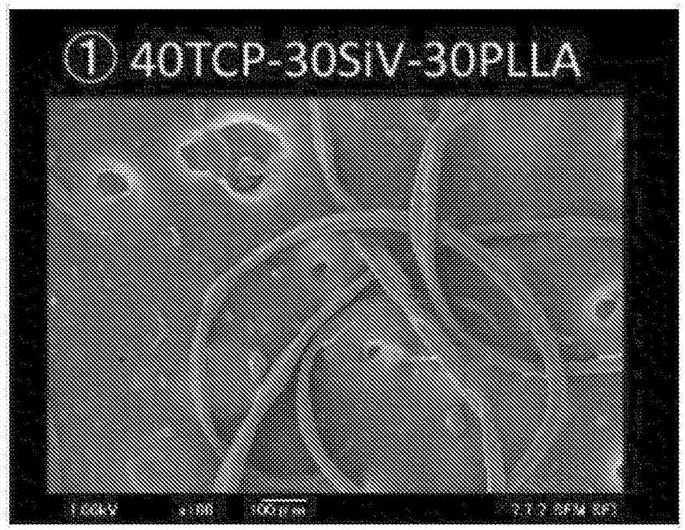 Method for manufacturing drug-containing biodegradable fiber material by electrospinning