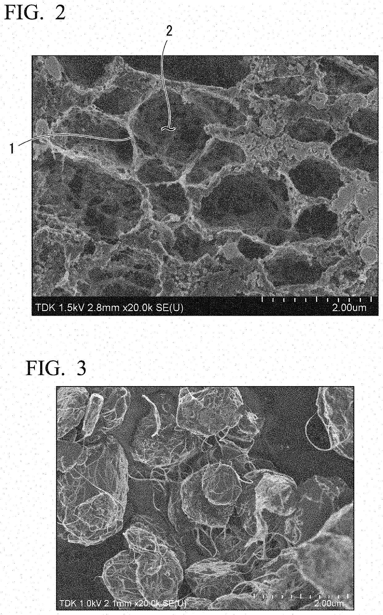 Positive electrode for lithium ion secondary battery and lithium ion secondary battery