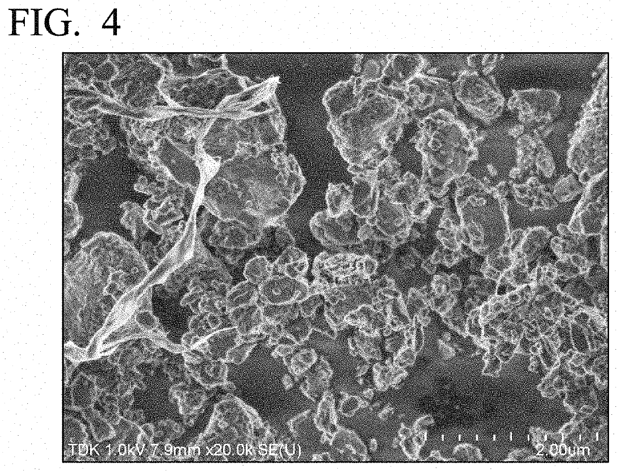 Positive electrode for lithium ion secondary battery and lithium ion secondary battery