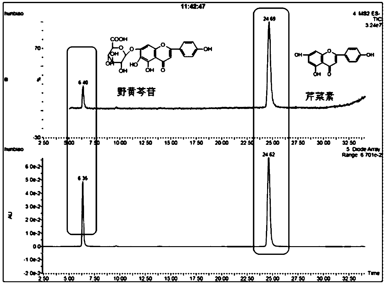 Method for fast screening different producing area difference of barbat skullcap via UPLC-MS-MS