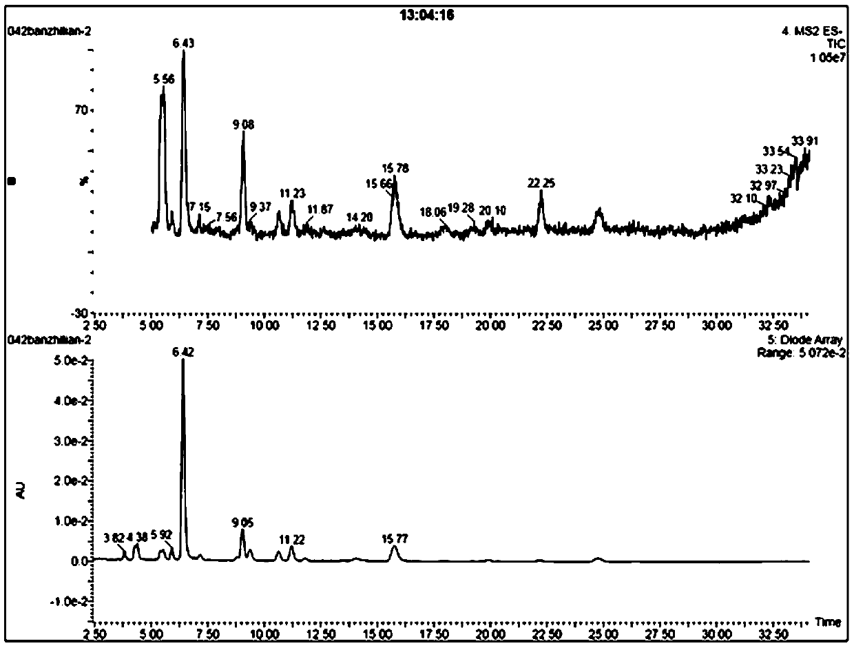 Method for fast screening different producing area difference of barbat skullcap via UPLC-MS-MS