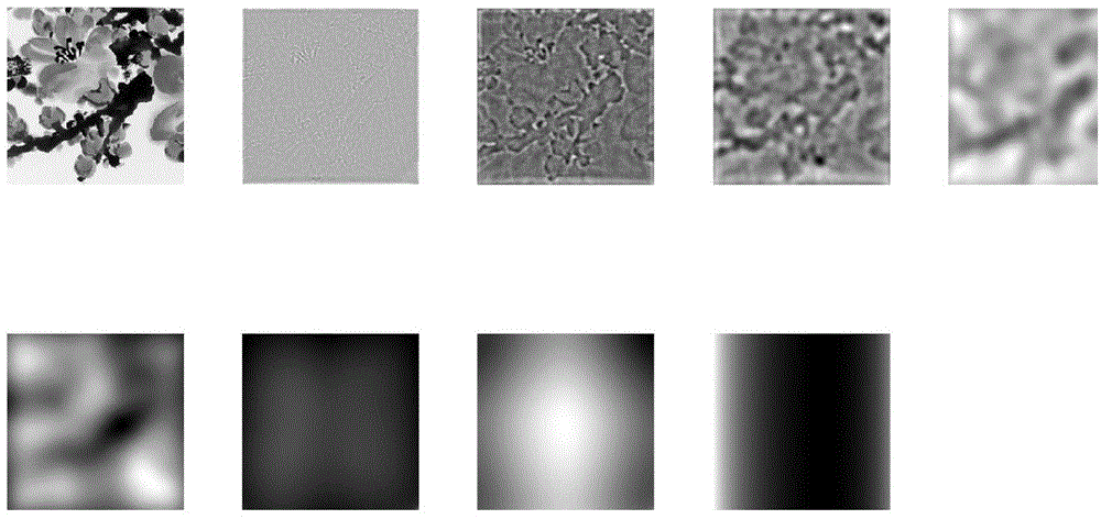 Traditional Chinese painting identification method based on Radon BEMD (bidimensional empirical mode decomposition) transformation