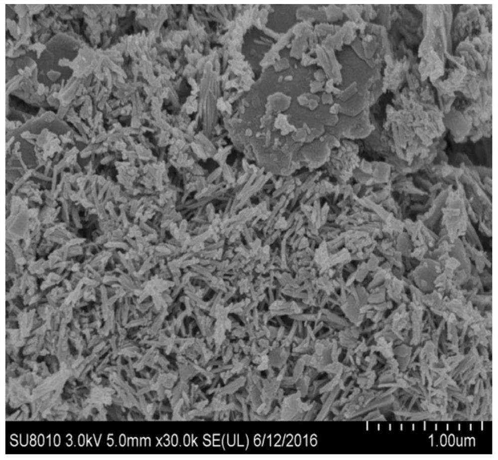 Carbon fiber-based electrochemical compound, molecular imprinting sensor as well as preparation method and application of molecular imprinting sensor