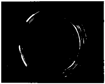 Latcripin-8 gene fragment of mushroom C91-3 strain, and coded protein, preparation method and application thereof