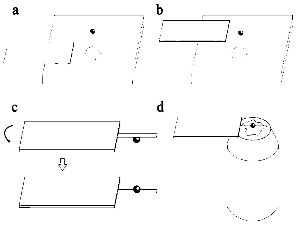 Microsphere probe preparation method based on micro-cantilever transfer