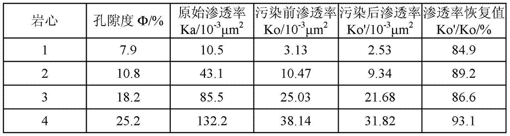 A Drilling Fluid Suitable for Tight Sandstone Reservoirs